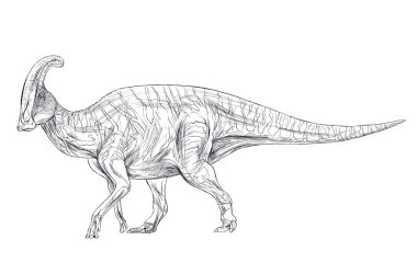izole paralofus satır kroki paleontoloji