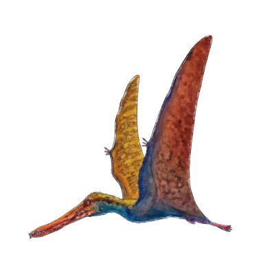 Pterodactilus izole renkli kroki