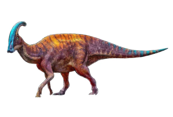 Paralofus Dinozaur Linia Białym Tle Kolor Ilustracja Potwór Prehistoryczne Zwierzęta — Zdjęcie stockowe