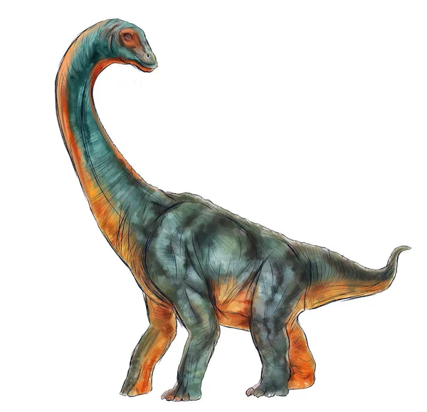 Tdiplodok Dinosauro Isolato Colore Acquerello Linea Schizzo — Foto Stock