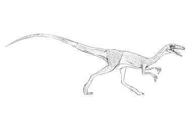 Compsognathus dinozor hattı Doodle contur illüstrasyon sürüngen Jurassic Dünya