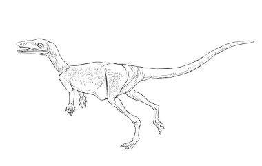 Eski dinozor hat illüstrasyon izole sarutopusus