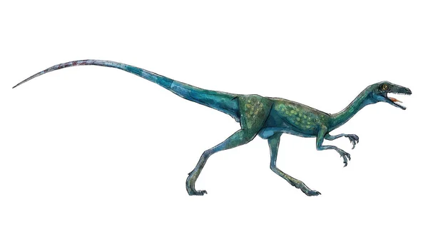 Compsognathus dinossauro linha de cores doodle contur ilustração réptil — Fotografia de Stock