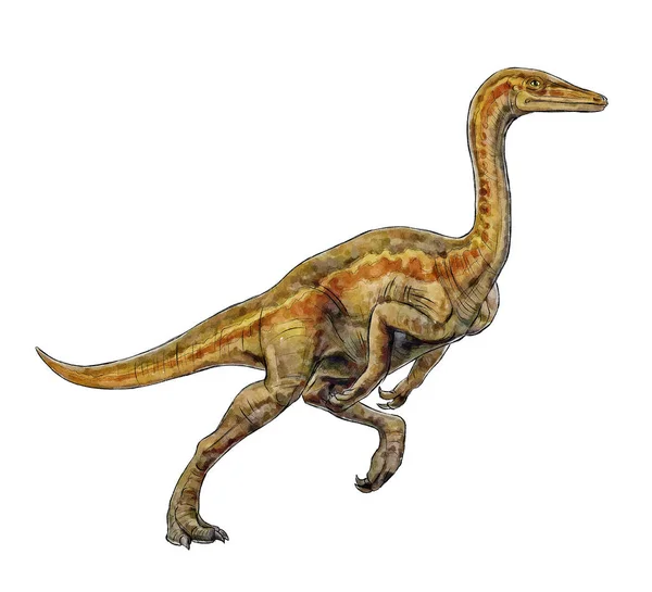 Ornithomimus 컬러 라인 contur 고립 된 그림 공룡 문 스 터 — 스톡 사진