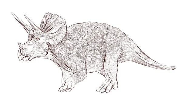 Triceratops linie kontur izolované ilustrace dinosauří Jurský — Stock fotografie