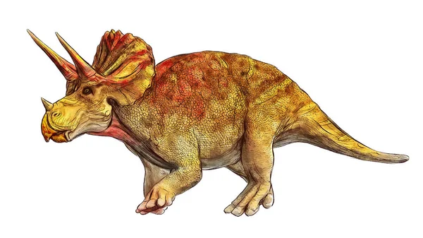 Triceratops linea di colore contorno isolato illustrazione dinosauro giurassico — Foto Stock