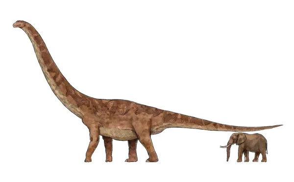 Dinossauro grande e elefante comparando a ilustração de contorno de lápis de linha de cor — Fotografia de Stock