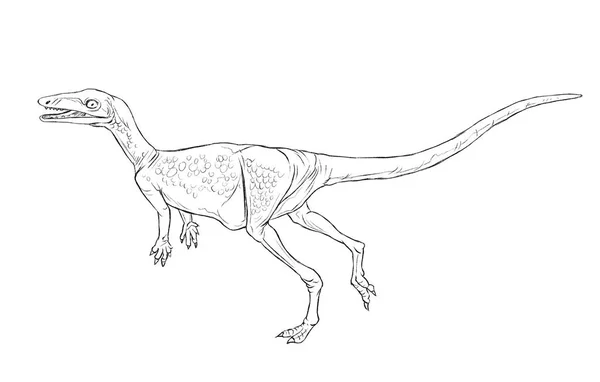 Sarutopusus linha contorno isolado ilustração dinossauro antigo — Fotografia de Stock