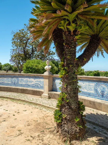 Neoklasszikus Palota Pousada Palacio Estoi Algarve Portugália — Stock Fotó