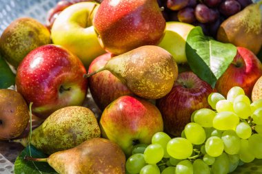 Yaz - elma, armut ve üzüm sonunda toplama meyve