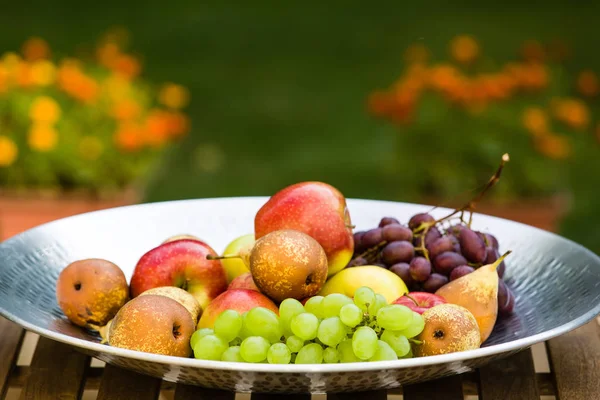 Fruit Plukken Aan Het Einde Van Zomer Appels Peren Druiven — Stockfoto