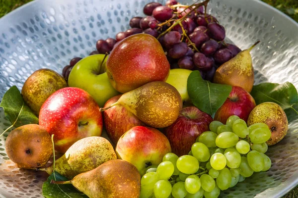 Colheita Frutas Final Verão Maçãs Peras Uvas — Fotografia de Stock