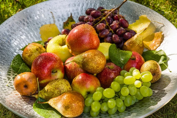 Fruktplockning Slutet Sommaren Äpplen Päron Och Druvor — Stockfoto