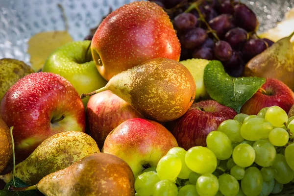 Raccolta Dei Frutti Fine Estate Mele Pere Uva — Foto Stock