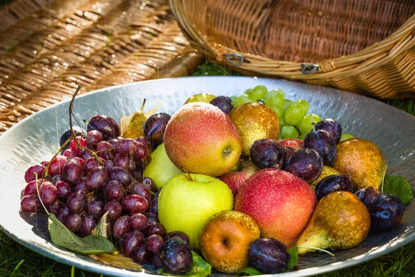 Colheita Frutas Final Verão Maçãs Peras Ameixas Uvas — Fotografia de Stock