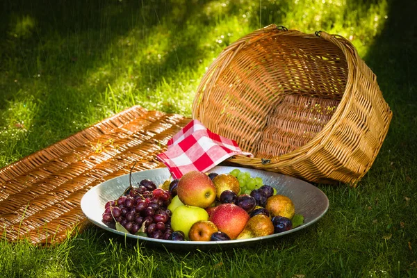 Colheita Frutas Final Verão Maçãs Peras Ameixas Uvas — Fotografia de Stock