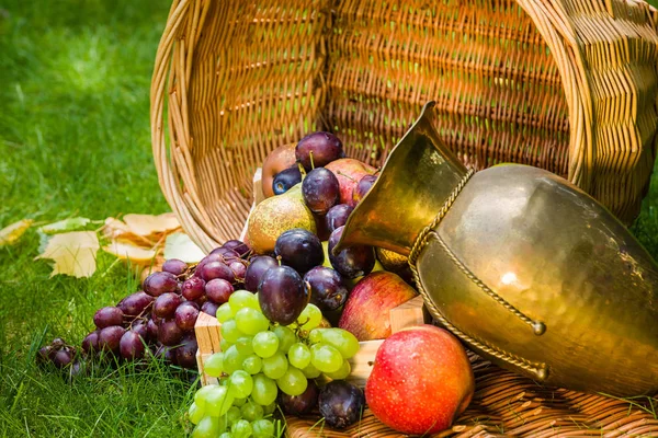 Colheita Frutas Final Verão Maçãs Peras Ameixas Uvas — Fotografia de Stock