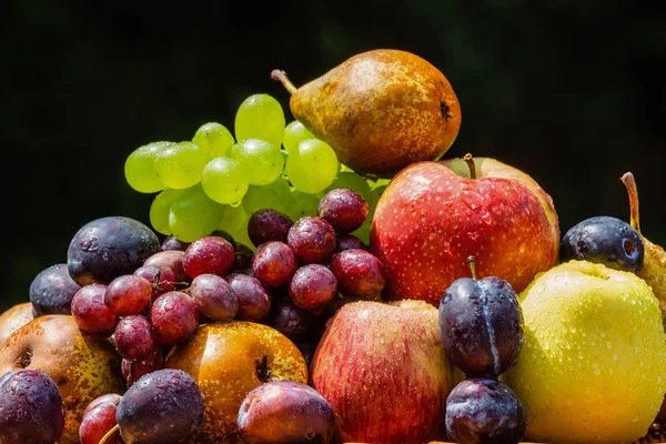 Récolte Des Fruits Fin Été Pommes Poires Prunes Raisins — Photo