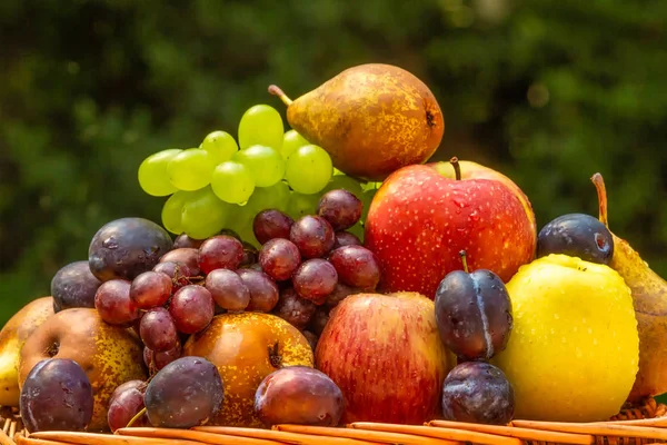 Obsternte Ende Des Sommers Äpfel Birnen Pflaumen Und Trauben — Stockfoto