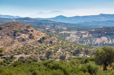 Dağlar, Crete Island, Yunanistan dikim zeytin