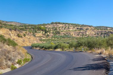 Dağlar, Crete Island, Yunanistan dikim zeytin
