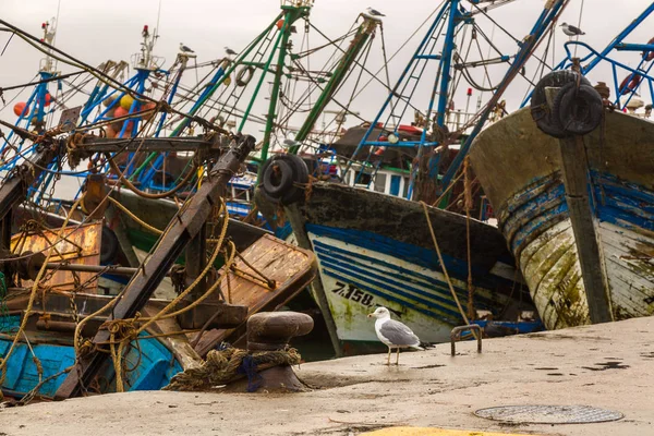 Πρωί Παλιά Αλιευτικό Λιμάνι Της Εσαουίρα Μαρόκο — Φωτογραφία Αρχείου