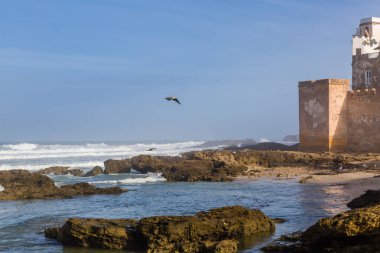Sabah deniz kenarı Essaouira, Morocco