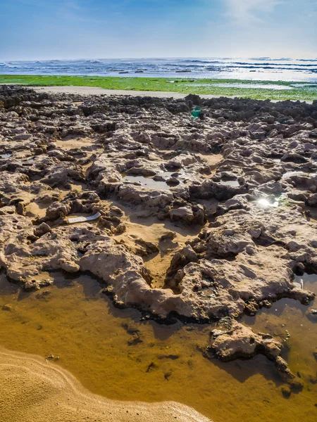 Atlantic Coast Adlı Zaouiet Bouzarktoune Yakınındaki Essaouira Morocco — Stok fotoğraf