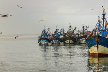 Essaouira, Fas eski balıkçı limanı sabah