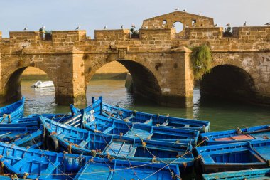 Essaouira, Fas eski balıkçı limanı sabah