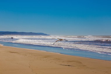 Essaouira, Fas kıyısındaki kumsal.