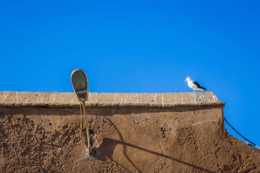 Essaouira, Fas Medine sokakları parçalardan