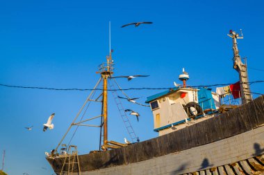 Erken sabah güneşli: Essaouira, Fas eski balıkçı limanı