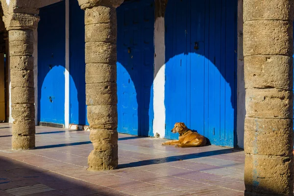 Fragmentos Das Vielas Medina Essaouira Marrocos — Fotografia de Stock