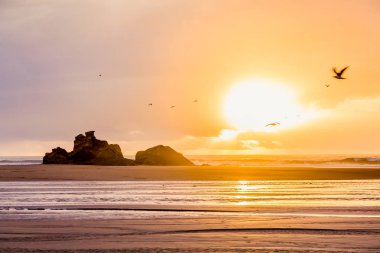 Güzel atmosfer erken akşam Tagharte Beach yakınındaki Essaouira, Morocco