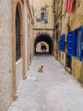 Essaouira, Fas Medine sokakları parçalardan