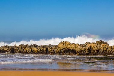 Dalgalar sörf fırtınalı Atlantik kıyısında yakın: Safi, Morocco