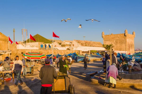 Essaouira Marokko November 2018 Zonnige Ochtend Oude Haven Visserij Van — Stockfoto