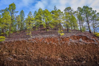 Tenerife Teide Milli Parkı manzara