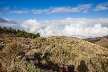 Tenerife Teide Milli Parkı manzara