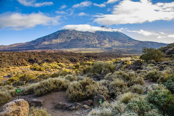 Vulkán Pico del Teide Spanyolország legmagasabb hegy — Stock Fotó