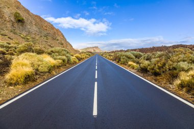 Teide Milli Parkı'ndaki manzaranın manzarası