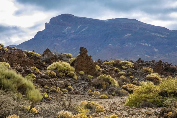 Nézd meg a tájat a Teide Nemzeti Parkban — Stock Fotó