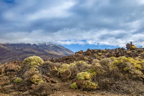 Nézd meg a tájat a Teide Nemzeti Parkban — Stock Fotó