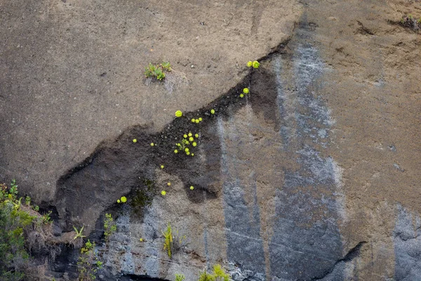 Tenerife adasının yüksek volkanik sıradağları — Stok fotoğraf