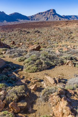 Tenerife adasının yüksek volkanik sıradağları