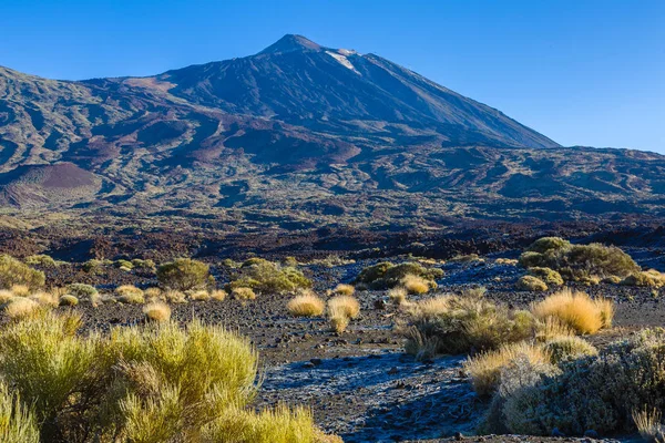 Pico del Teide a legmagasabb csúcs Spanyolországban. Tenerife, Kanári- — Stock Fotó