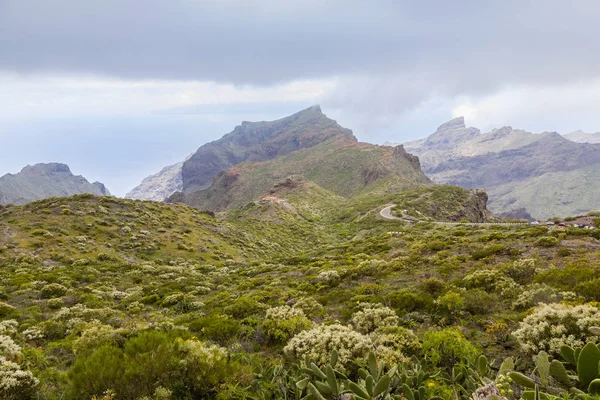 Tamaimo yolunda Dağ bakış açısı