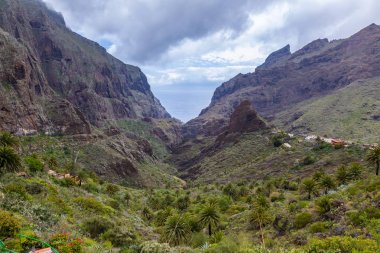 Tamaimo yolunda Dağ bakış açısı
