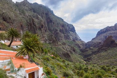 Tamaimo yolunda Dağ bakış açısı